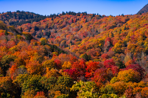 Asheville, NC