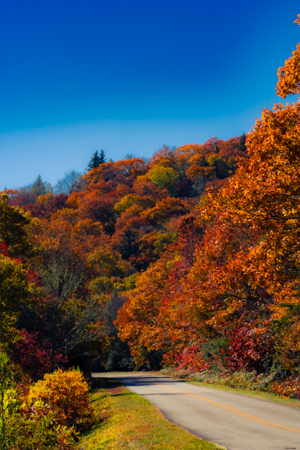 Asheville, NC