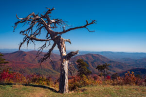 Asheville, NC