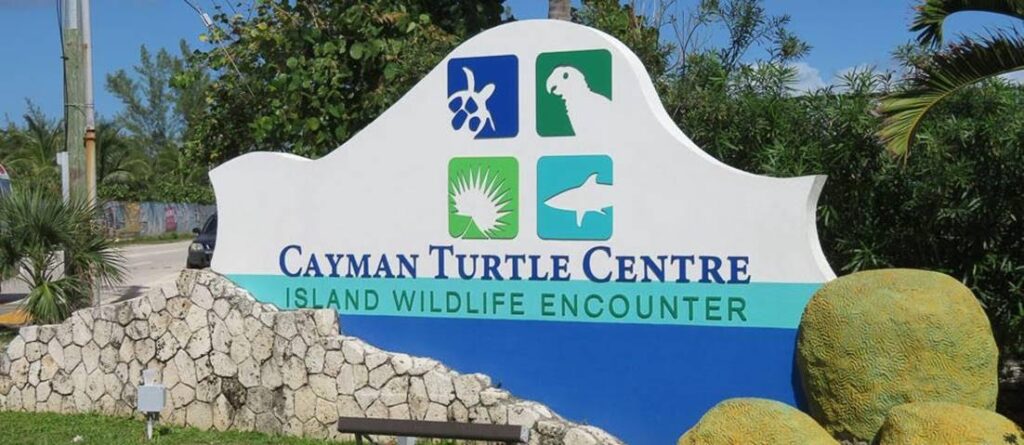 Cayman Turtle Center