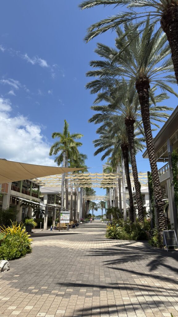 Camana Bay