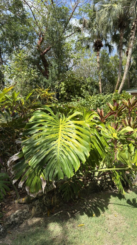 Botanical Garden