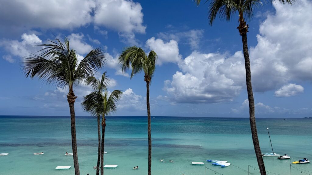 Ocean View