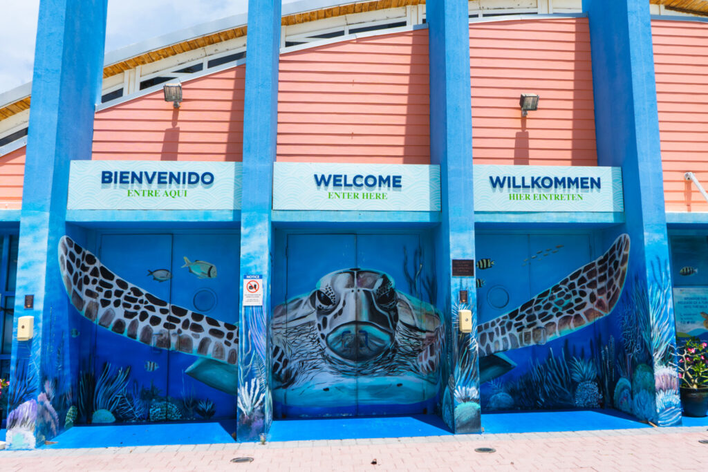Turtle Center